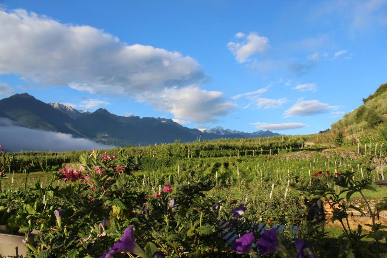 La Vita In Campagna Villa di Tirano 外观 照片
